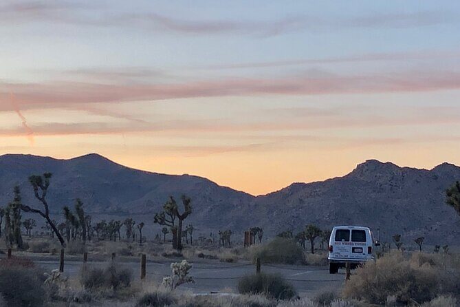 Joshua Tree National Park Driving Tour - Final Thoughts: Is This Tour Right for You?