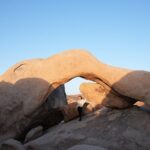 Joshua Tree National Park Private Adventure from Los Angeles - Is It Worth the Price?