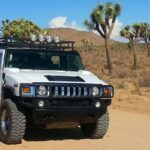 Joshua Tree National Park Scenic Tour - The Experience: What Travelers Say