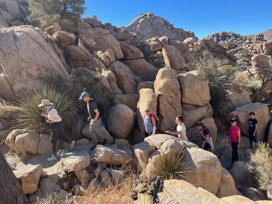Joshua Tree National Park Tours | Private Tour (Max 10) - FAQs