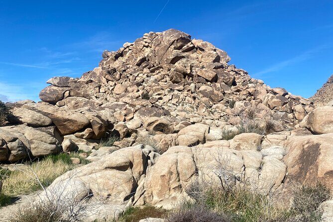 Joshua Tree Natural Wonders Walk: Plants, Animals and Rocks - The Sum Up