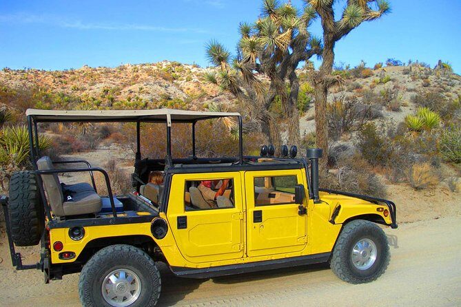 Joshua Tree Open Air Hummer Adventure - The Experience: What Makes It Special