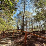 Juárez Highlands: Ecotourism and Workshop Experience - Who Should Consider This Tour?