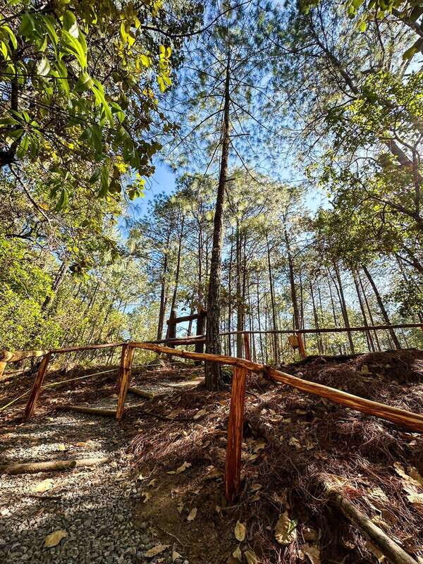 Juárez Highlands: Ecotourism and Workshop Experience - Who Should Consider This Tour?