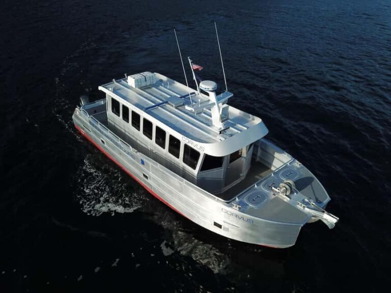 Juneau: 3.5-Hour Small Group Whale Watching Tour - Final Thoughts