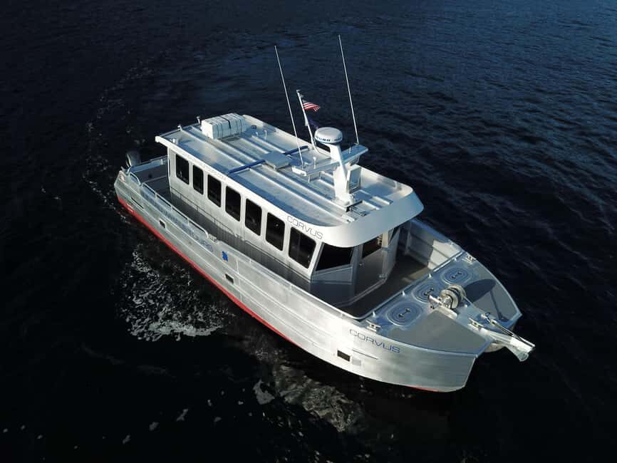 Juneau: 3.5-Hour Small Group Whale Watching Tour - Final Thoughts