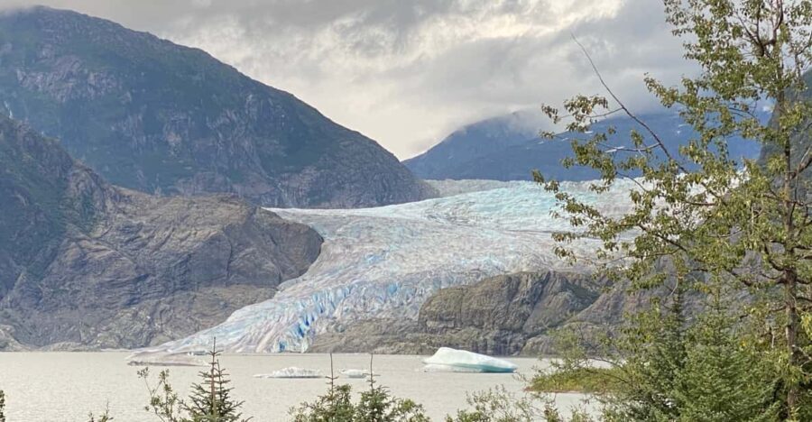 Juneau: Mendenhall Glacier and Whale Watching Tour - The Practical Side: Logistics and Value