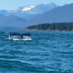 Juneau: Mendenhall Glacier Waterfall & Whale Watching Tour - Is It Worth the Price?