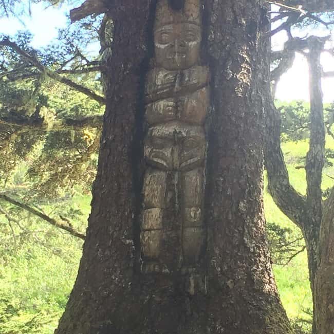 Juneau: Taste of Alaska Tour - What Travelers Say About This Tour