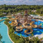 Jungle - What to Expect at Jungala Aqua Experience