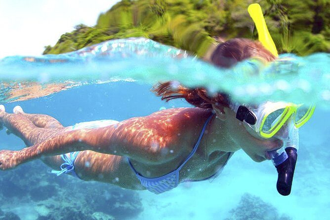 Jungle Adventure Tour in Cancun by Speedboat with Snorkeling - What to Expect from the Tour