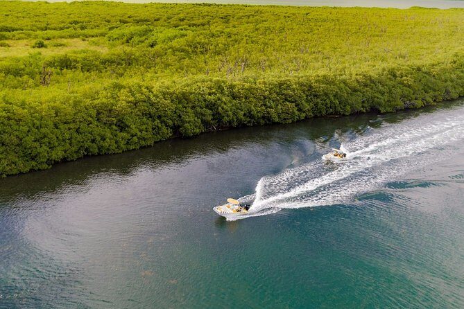 Jungle Adventure Tour! Speed boat and Snorkeling (Single) - Snorkeling at Coral Reefs: What to Expect