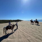 Jungle and beach horseback ride + lunch + mezcal - Who Is This Tour Best For?