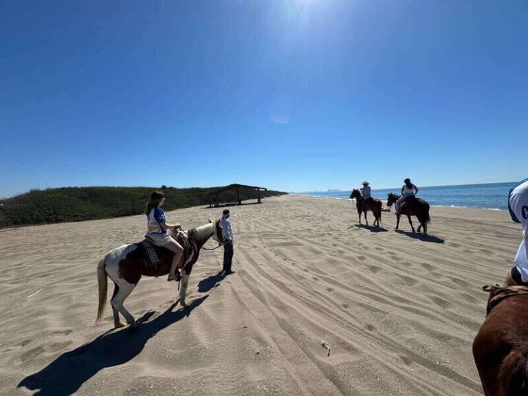 Jungle and beach horseback ride + lunch + mezcal - Who Is This Tour Best For?