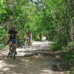 Jungle Bike Tour from Playa del Carmen with Bath in a Cenote - Who Should Consider This Tour?