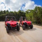 Jungle Buggy Tour from Playa del Carmen Including Cenote Swim - What Travelers Are Saying