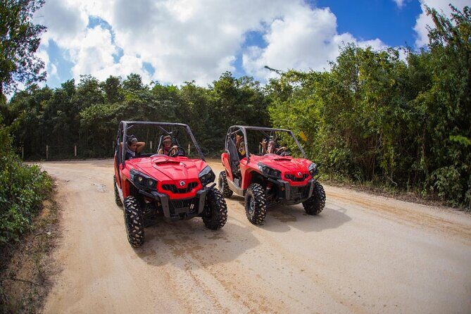 Jungle Buggy Tour from Playa del Carmen Including Cenote Swim - What Travelers Are Saying