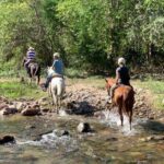 Jungle HorseBack Adventure to Las Palmas Waterfall All Included - Exploring the Tour Itinerary in Detail
