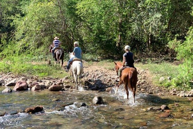 Jungle HorseBack Adventure to Las Palmas Waterfall All Included - Exploring the Tour Itinerary in Detail