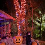 Jurassic Haunt at Dinosaur World - What does the itinerary include?