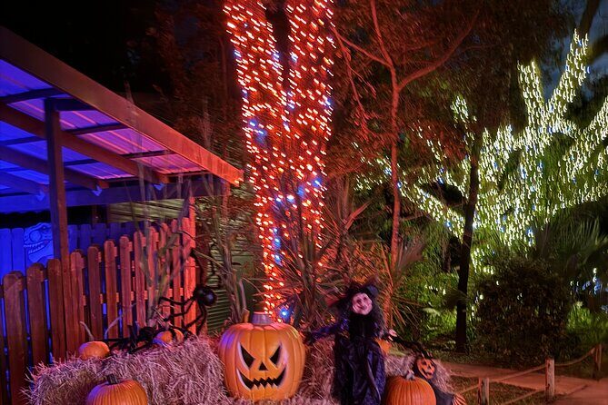 Jurassic Haunt at Dinosaur World - What does the itinerary include?