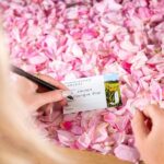 Jurlique Handpicked Masterclass - The Experience in Detail: What’s Included and What to Expect