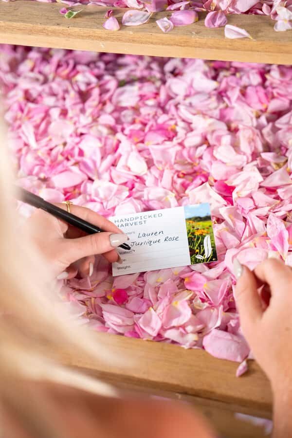 Jurlique Handpicked Masterclass - The Experience in Detail: What’s Included and What to Expect