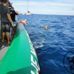 Ka'anapali: Whale Watching Boat Tour - What to Expect During the Trip