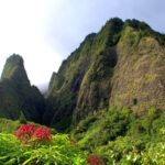 Kahului Shore Excursion: Private Tropics of Maui & Rainforest - The Practicalities: What to Expect & Why It Matters