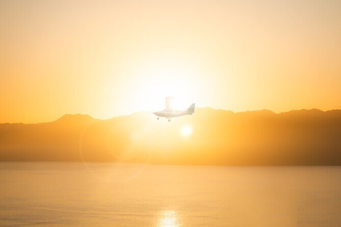 Kaikura Whale Watching Scenic Flight (40 Minutes) - Who Should Consider This Tour?