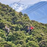 Kaikura: Zipline and Native Forest Adventure Trip - What’s Included and How It’s Structured