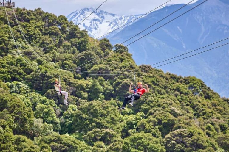 Kaikura: Zipline and Native Forest Adventure Trip - What’s Included and How It’s Structured