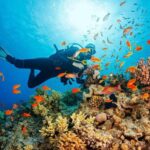 Kailua-Kona: 2-Tank Morning Dive - Why This Tour Might Be Perfect for You