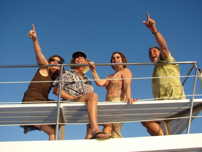 Kailua Kona: Humpback Whale Watching Adventure Cruise - The Experience: What’s It Really Like?