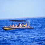 Kailua-Kona: Private Marine Charter Adventure - What to Expect from Your Day