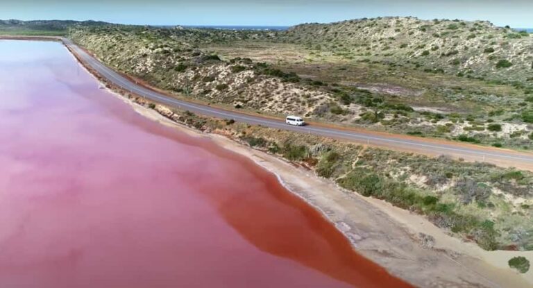 Kalbarri: Pink Lake and Coastal Cliffs Tour - The Experience in Detail