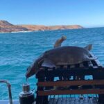 Kalbarri Rock Lobster Tours - The Practicalities: What You Need to Know