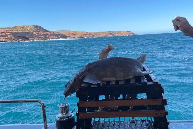 Kalbarri Rock Lobster Tours - The Practicalities: What You Need to Know