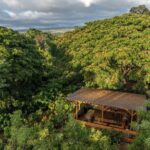 Kamananui Cacao Orchard Tour - The Experience: A Visual Walkthrough