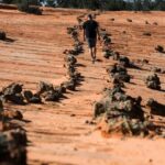 Kanab: UTV Tour with Ancient Pictographs and Sand Dunes - The Itinerary in Detail