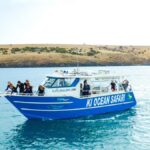 Kangaroo Island: Dolphin, Seal, and Swimming Boat Tour - The Itinerary and Daily Flow