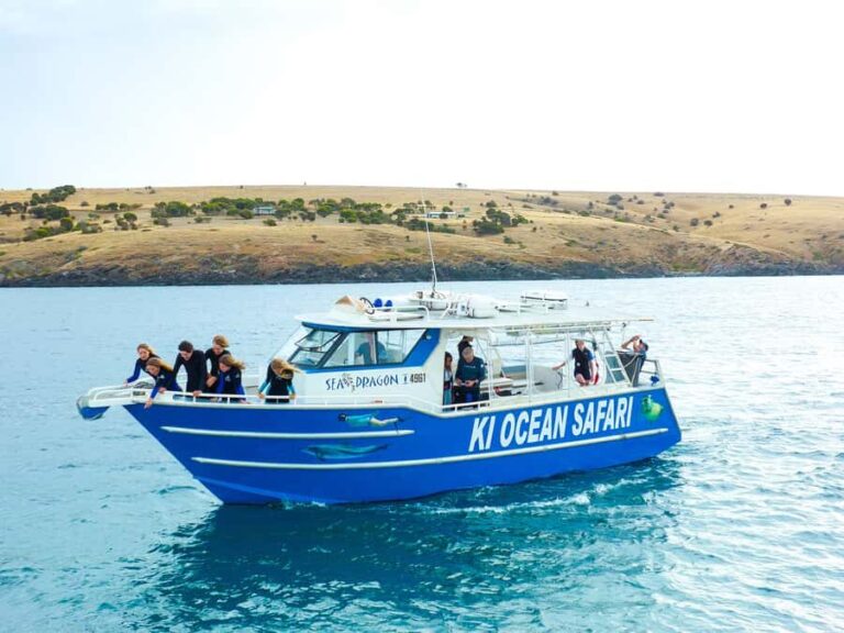 Kangaroo Island: Dolphin, Seal, and Swimming Boat Tour - The Itinerary and Daily Flow