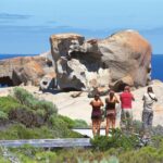 Kangaroo Island: Full Day Guided Flinders Chase Focus Tour - What the Tour Offers: A Deep Dive