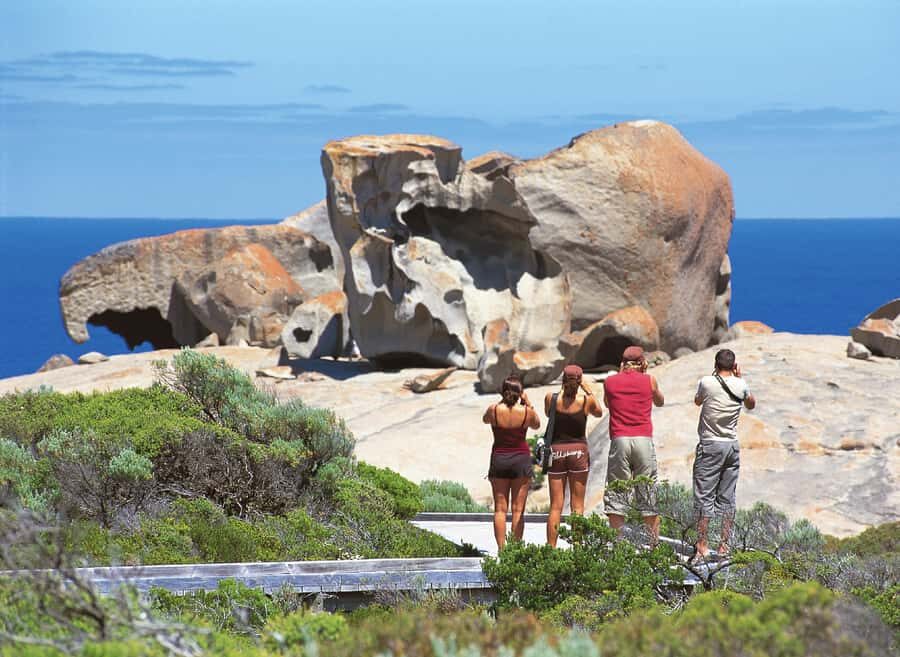 Kangaroo Island: Full Day Guided Flinders Chase Focus Tour - What the Tour Offers: A Deep Dive