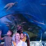 Kansas City: SEA LIFE Kansas City Aquarium General Admission - Who Will Love This Experience?