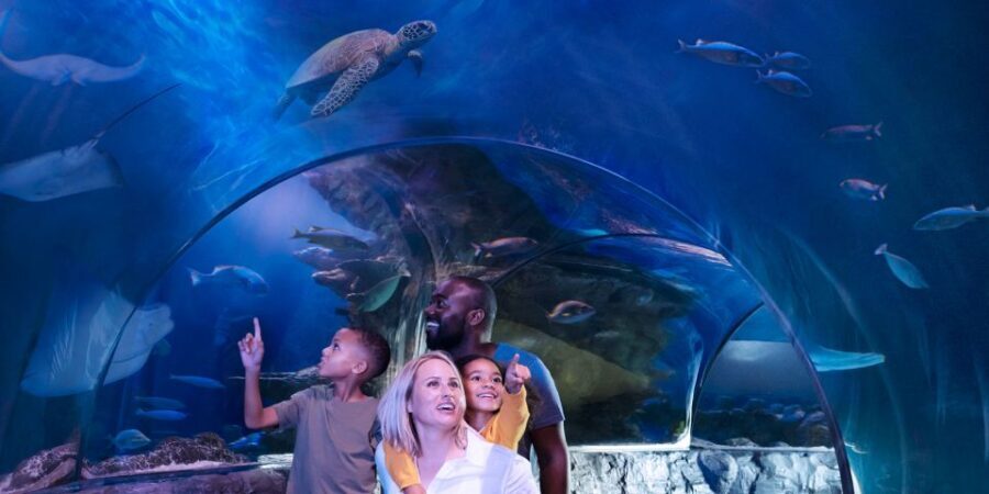 Kansas City: SEA LIFE Kansas City Aquarium General Admission - Who Will Love This Experience?