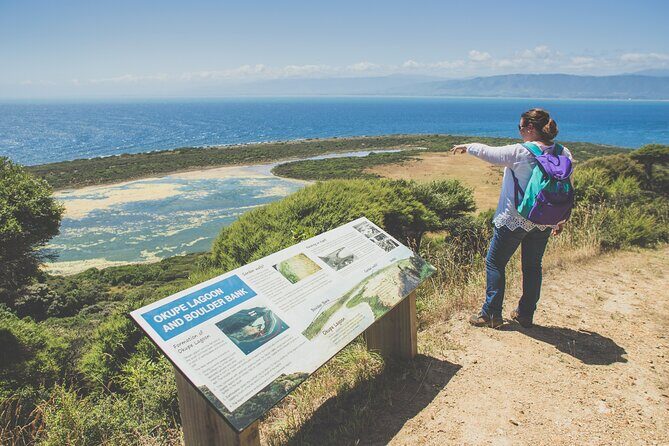 Kapiti Island Classic Guided Day Tour - What the Reviews Say