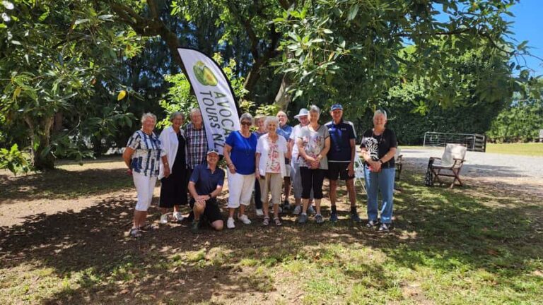 Katikati: Guided Avocado Adventures with Tasty Treats - Who Would Love This Experience?