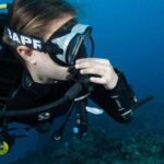 Kauai: 3-Tank Boat Dive for Certified Divers - What You Can Expect on the Day