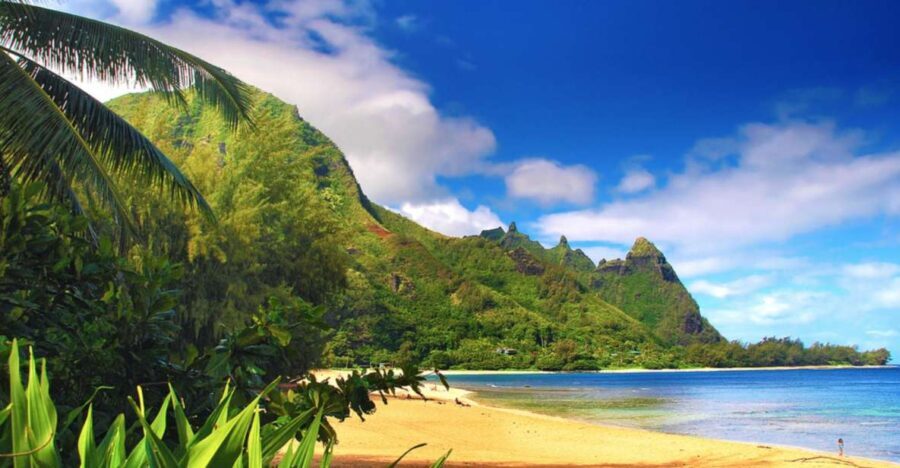 Kauai: Customized Luxury Private Tour - Who Should Consider This Tour?